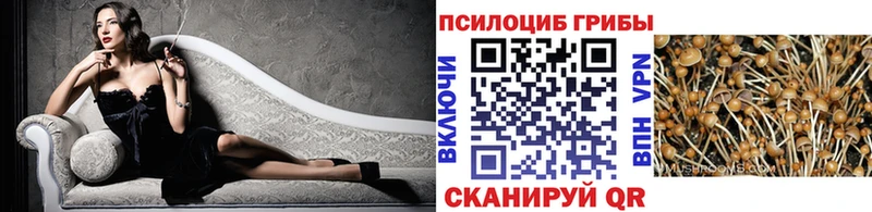 MEGA онион Кирс Галлюциногенные грибы мухоморы