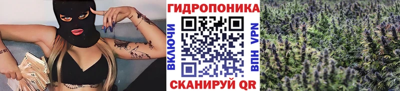 Каннабис конопля наркотики Кирс